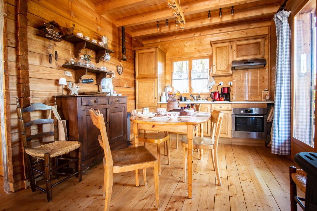 Chalet Du Bois Joli Saint-Laurent-en-Grandvaux Zewnętrze zdjęcie