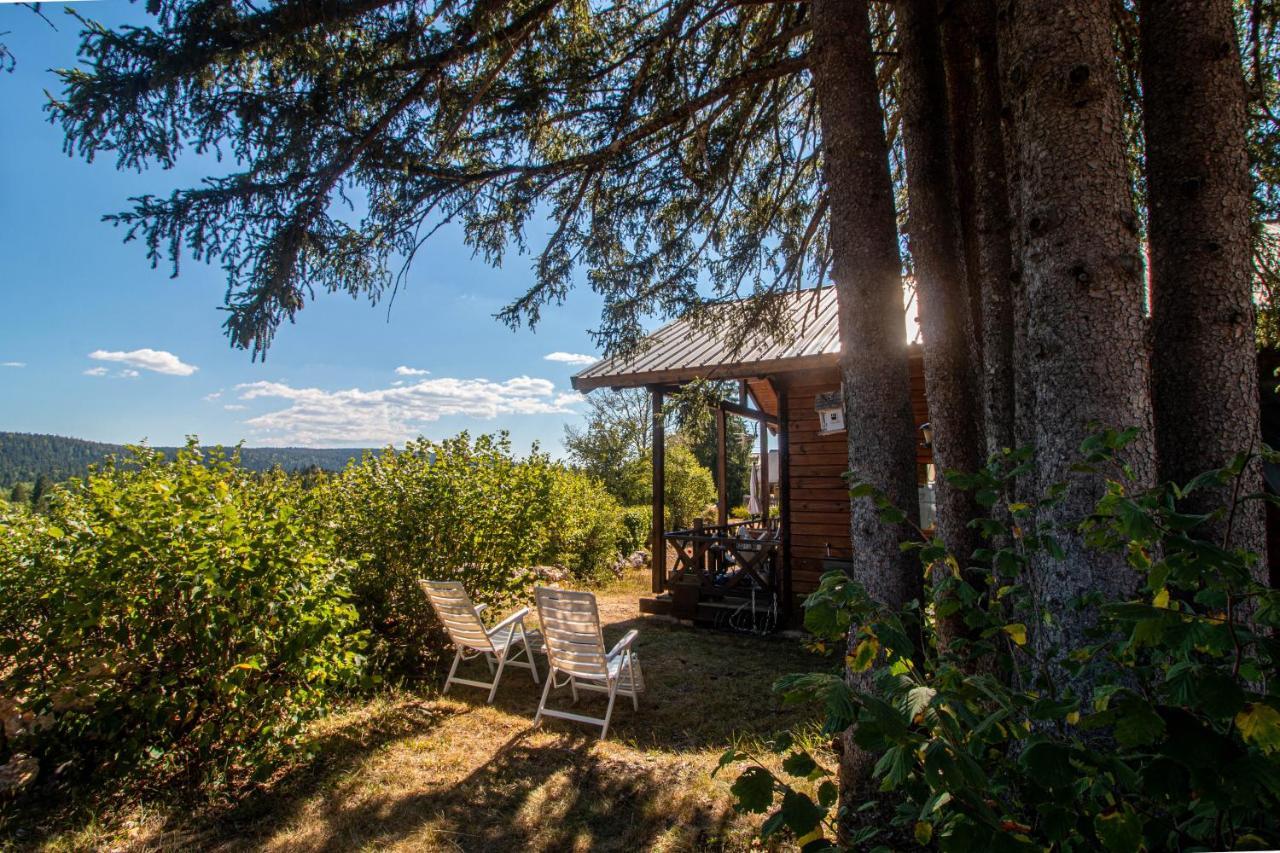Chalet Du Bois Joli Saint-Laurent-en-Grandvaux Zewnętrze zdjęcie