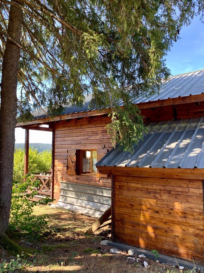 Chalet Du Bois Joli Saint-Laurent-en-Grandvaux Zewnętrze zdjęcie