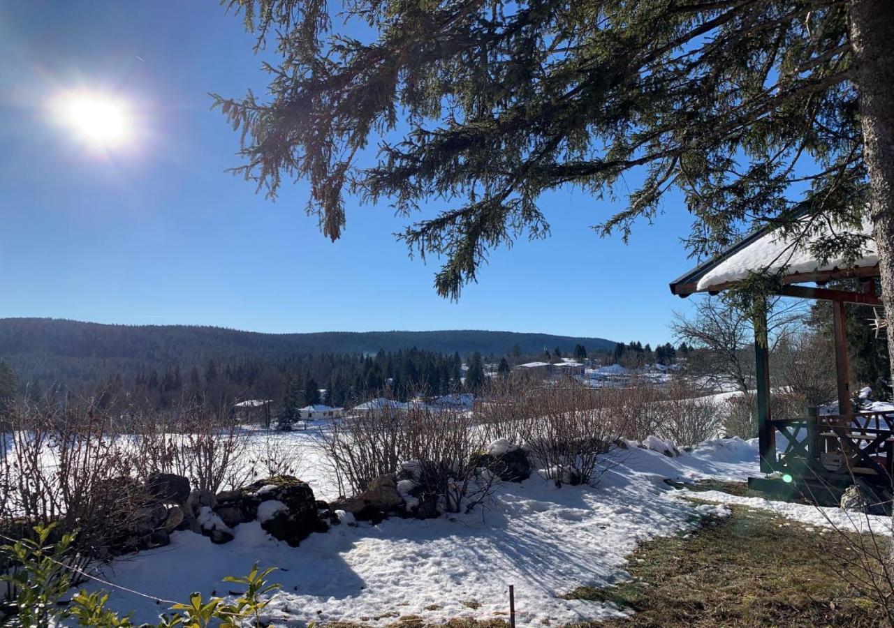 Chalet Du Bois Joli Saint-Laurent-en-Grandvaux Zewnętrze zdjęcie