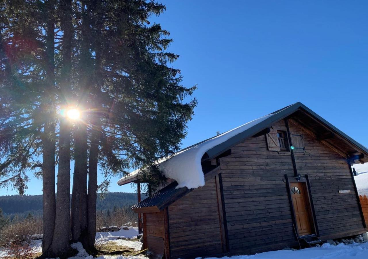 Chalet Du Bois Joli Saint-Laurent-en-Grandvaux Zewnętrze zdjęcie