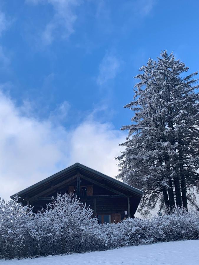Chalet Du Bois Joli Saint-Laurent-en-Grandvaux Zewnętrze zdjęcie