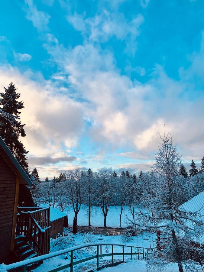 Chalet Du Bois Joli Saint-Laurent-en-Grandvaux Zewnętrze zdjęcie